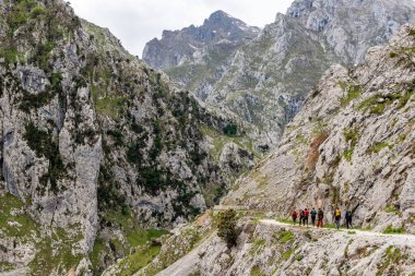 A group of hikers hiking the picturesque Cares gorge in the Picos de Europa mountains in Asturias, Northern Spain clipart