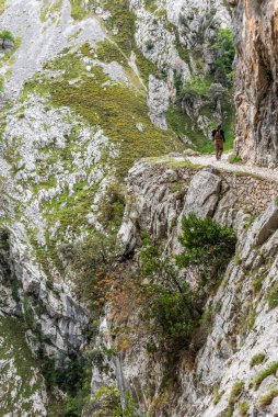 Kuzey İspanya, Asturias 'taki Picos de Europa dağlarında Cares' in muhteşem manzarası.