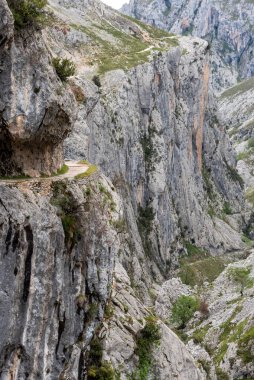 Kuzey İspanya, Asturias 'taki Picos de Europa dağlarında Cares' in muhteşem manzarası.