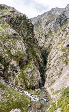 Kuzey İspanya, Asturias 'taki Picos de Europa dağlarında Cares' in muhteşem manzarası.