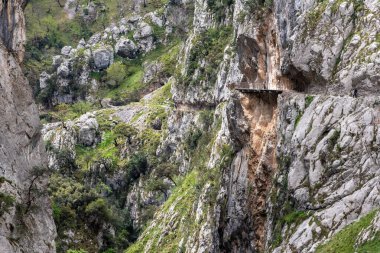 Kuzey İspanya, Asturias 'taki Picos de Europa dağlarında Cares' in muhteşem manzarası.