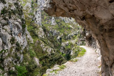 Kuzey İspanya, Asturias 'taki Picos de Europa dağlarında Cares' in muhteşem manzarası.