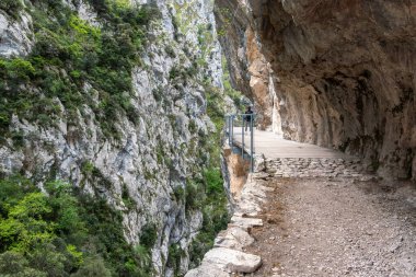 Kuzey İspanya, Asturias 'taki Picos de Europa dağlarında Cares' in muhteşem manzarası.