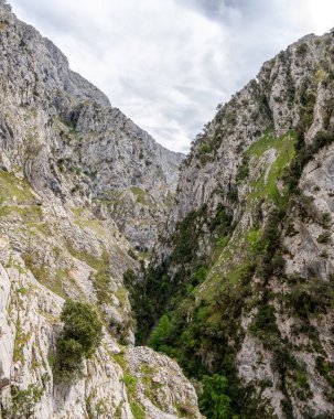 Kuzey İspanya, Asturias 'taki Picos de Europa dağlarında Cares' in muhteşem manzarası.