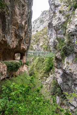Kuzey İspanya, Asturias 'taki Picos de Europa dağlarında Cares' in muhteşem manzarası.