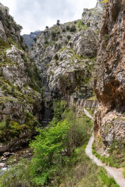 Kuzey İspanya, Asturias 'taki Picos de Europa dağlarında Cares' in muhteşem manzarası.