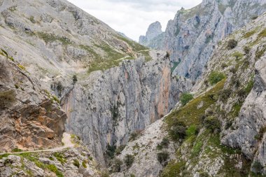 Kuzey İspanya, Asturias 'taki Picos de Europa dağlarında Cares' in muhteşem manzarası.