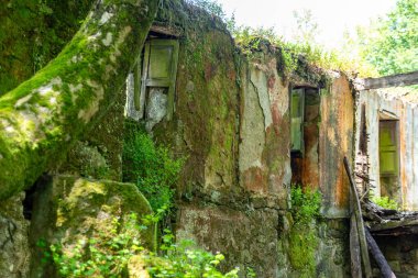 An old overgrown house ruin near lake Encoro das Conchas in southern Galicia, Spain clipart