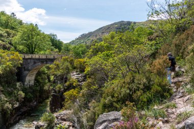 Portekiz, Sao Migues şelalesi yakınlarındaki Peneda-Geres Ulusal Parkı 'ndaki yol köprüsü.