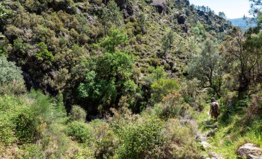 Ermida, Peneda Geres Ulusal Parkı, Portekiz yakınlarındaki Rajada şelalesinde sakin orman manzarası