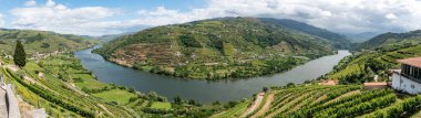 Imaginario perspektifinde teraslı üzüm bağları olan Quaint Douro Vadisi, Portekiz