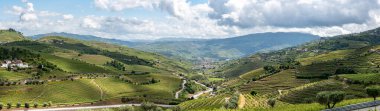 Portekiz 'in Santa Marta de Penaguiao kasabası yakınlarındaki Espaco Douro Vivo' da Douro Vadisi 'nde ilginç bir tarım manzarası var.