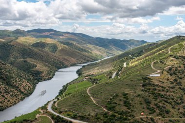 Meşhur Douro Vadisi 'nde asma teraslar ve nehir, Villa Nova de Foz Coa, Portekiz yakınlarındaki bir yolcu gemisi.