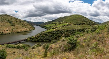 Meşhur Douro Vadisi 'nde Coa Nehri' nin Douro Nehri 'ne aktığı ve Portekiz' deki taş devri petroglifleriyle bilinen asma teraslar var.