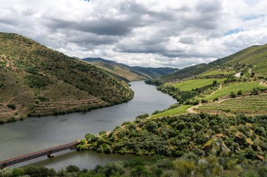 Ünlü Douro Vadisi 'nde Coa Nehri' nin Douro, Portekiz 'e aktığı dikenli teraslar var.