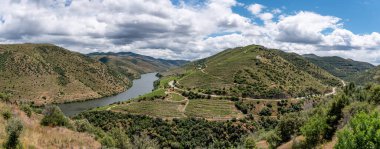 Douro Vadisi ve Kakao Vadisi 'nin panoramik manzarası, Portekiz' deki taş devri petroglifleriyle bilinir.
