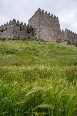 Portekiz 'deki bir çavdar tarlasıyla çevrili, kırsal alana mükemmel bir şekilde uyan ortaçağ Tracoso şatosu.
