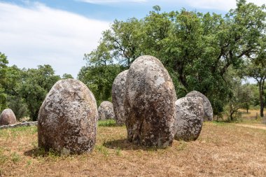 Portekiz, Evora yakınlarındaki Almendres 'in taş devri Cromlech' i iyi korunmuş.