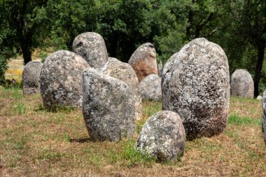 Portekiz, Evora yakınlarındaki Almendres 'in taş devri Cromlech' i iyi korunmuş.