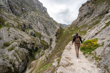 Resimli yürüyüşlere çıkan bir kadın turist Kuzey İspanya 'daki Asturias Picos de Europa dağlarındaki vadiyi önemsiyor.