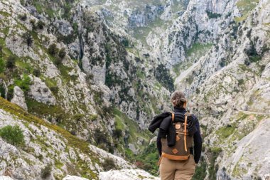 Resimli yürüyüşlere çıkan bir kadın turist Kuzey İspanya 'daki Asturias Picos de Europa dağlarındaki vadiyi önemsiyor.
