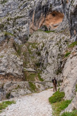 Resimli yürüyüşlere çıkan bir kadın turist Kuzey İspanya 'daki Asturias Picos de Europa dağlarındaki vadiyi önemsiyor.