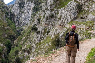 Resimli yürüyüşlere çıkan bir kadın turist Kuzey İspanya 'daki Asturias Picos de Europa dağlarındaki vadiyi önemsiyor.