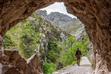 A female tourist hiking the picturesque Cares gorge in the Picos de Europa mountains, Asturias in Northern Spain clipart