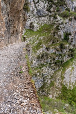 Resimli yürüyüşlere çıkan bir kadın turist Kuzey İspanya 'daki Asturias Picos de Europa dağlarındaki vadiyi önemsiyor.