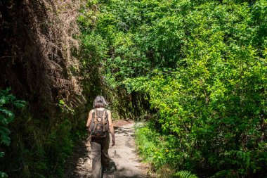 Portekiz, Peneda Geres Ulusal Parkı 'ndaki Rajada şelalesine tek başına yürüyüş yapan bir kadın.