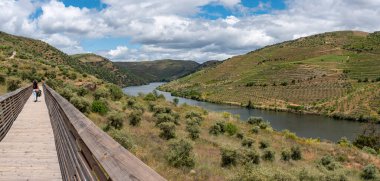 Douro ve Coa vadisindeki tahta kaldırımda yürüyen genç bir kadın, Portekiz 'in ünlü taş devri Kakao petrogliflerinin ayak izlerini takip ediyor.