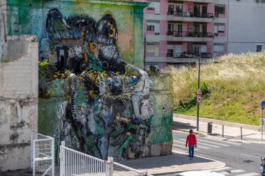 Lisboa, Portekiz - Haziran 03, 2024 - Güzel Büyük Rakun