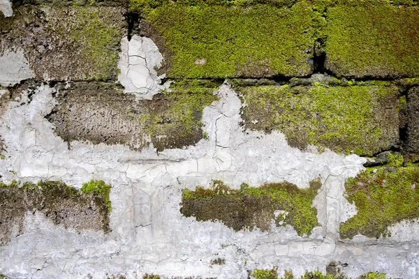 Old brick wall with mold and mortar as background or texture