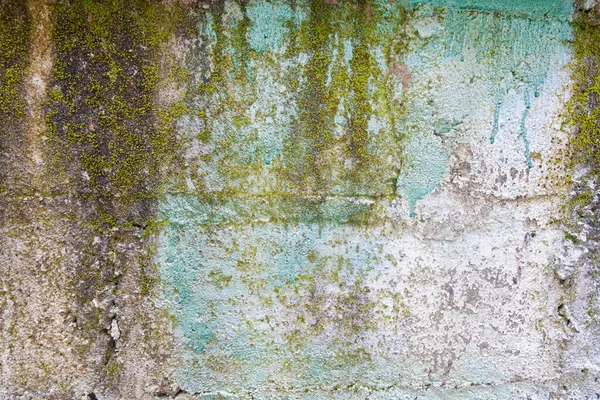 Old Grungy Concrete Wall Mildew Background Texture — Stock Photo, Image