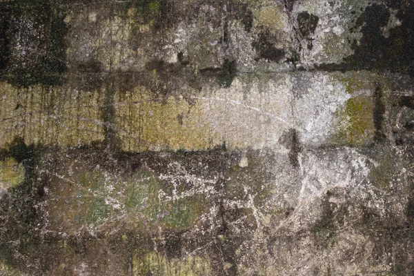 Vieux Mur Briques Couleur Dorée Avec Moule Noir — Photo