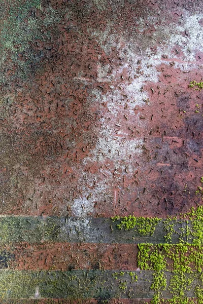 Parede Concreto Acidentado Velho Com Molde Preto Verde Musgo Grunge — Fotografia de Stock