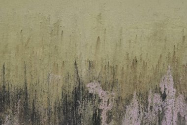 Arka plan dokusu için eski küf sarı ve siyah beton duvar