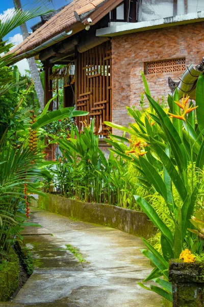 Narrow walking path lined with tropical plants in a small village in Ubud, Bali