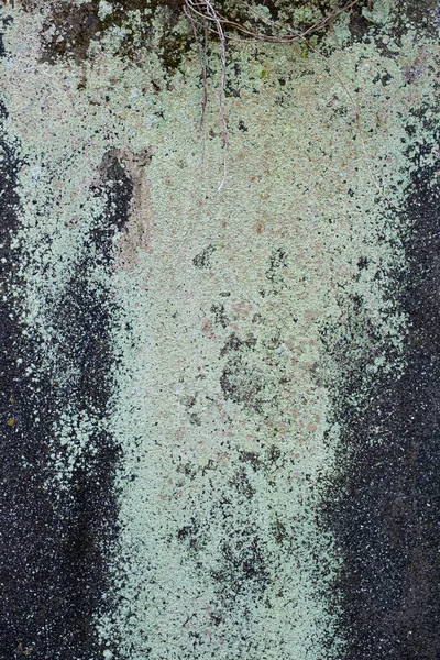 Concrete wall covered in green mold spores and black mildew stains background texture