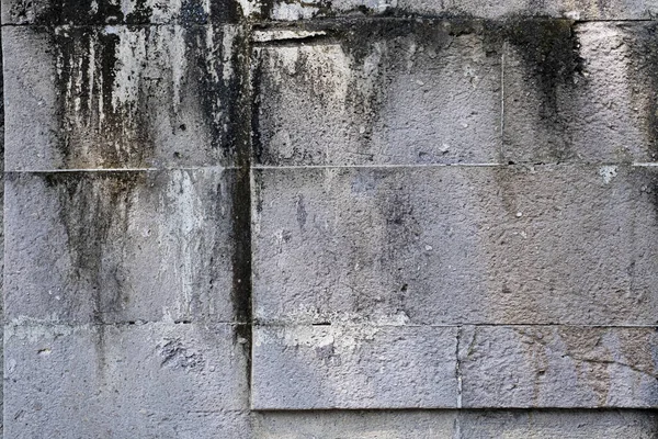 Gray cinder block concrete wall with black mildew stains background texture