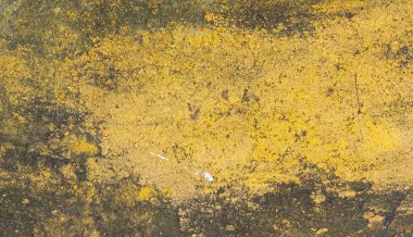 Yellow concrete wall with black mildew stains and cracks