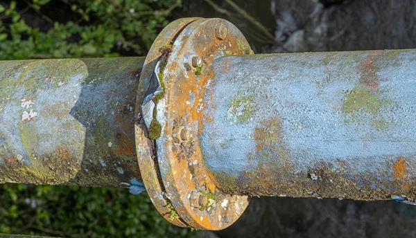 Large industrial painted metal water pipe with rust and bolts