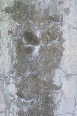 Old gray concrete wall with mildew stains and white vein shape cracks. Background texture