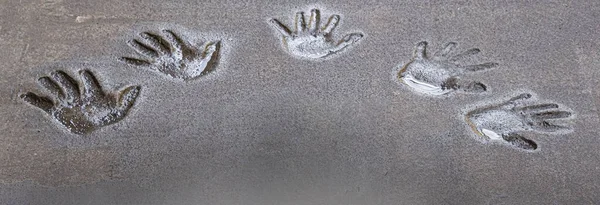 Five hand prints relief in concrete pavement filled with water from rain. Background and wallpaper texture. Copy space