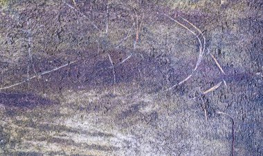 Dark gray concrete wall with dried vines stuck on it. Background grunge texture