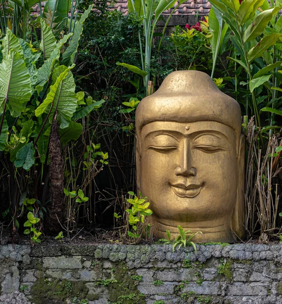 バリ島の緑の熱帯植物に囲まれた石壁に座っている金塗装コンクリート仏頭 — ストック写真