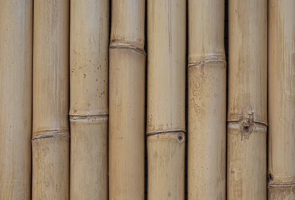 Grandes Talos Bambu Cor Natural Verticalmente Uma Linha Fundo Textura — Fotografia de Stock