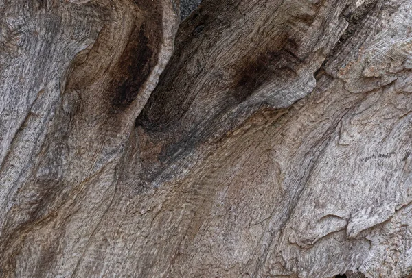 大块干木的近景 — 图库照片