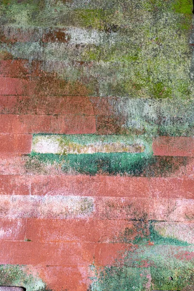 Ярко Розовая Белая Стена Брика Светло Зелеными Пятнами Плесени — стоковое фото