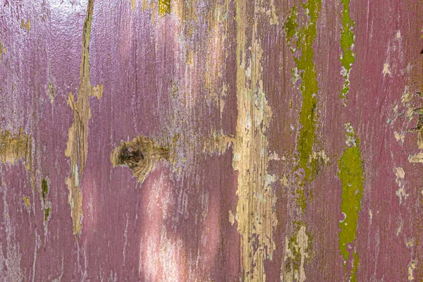 Pink and lavender painted wood panel with light green mildew stains. Background and wallpaper texture